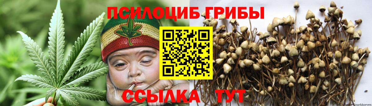 Псилоцибиновые грибы ЛСД Новотроицк